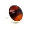 Anillo Amanecer: ambar natural y plata .925
