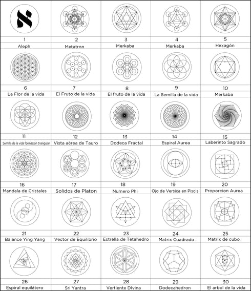 Dije Divinidad de Geometría Sagrada: Shungita y plata .925